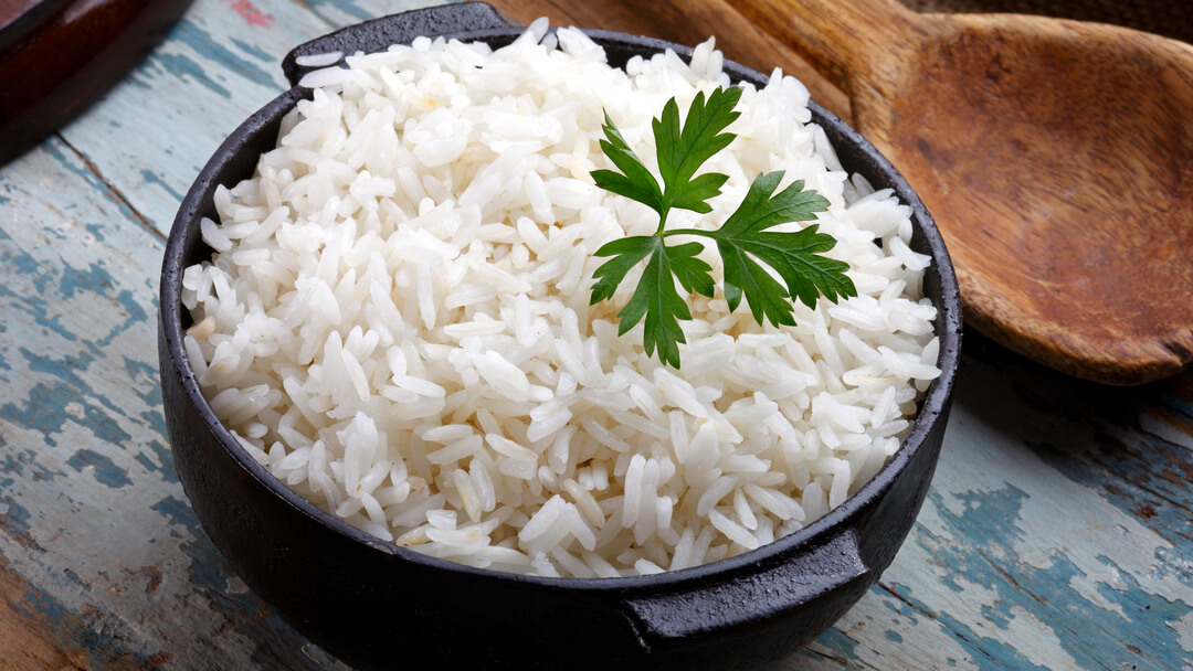 White rice 2025 for dogs